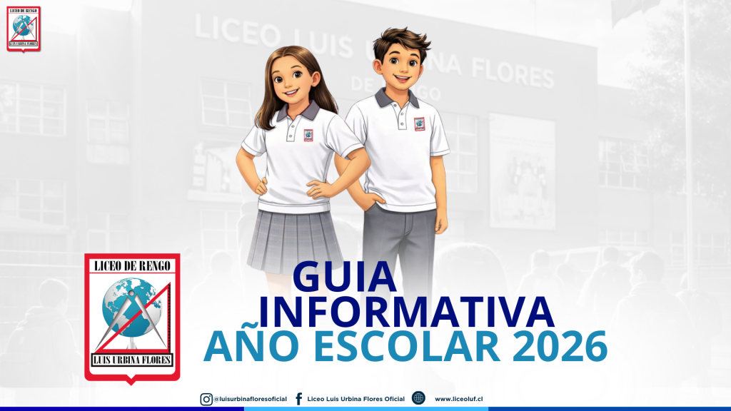 DISEÑO INSTITUCIONAL LUF